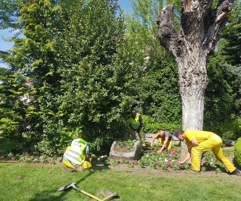 mejoras en jardines soto del real