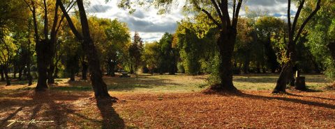 Parque del Río, Soto del Real - Fotografía de Goyo Alonso