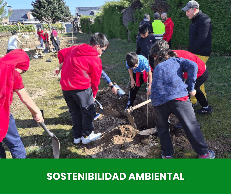 sostenibilidad